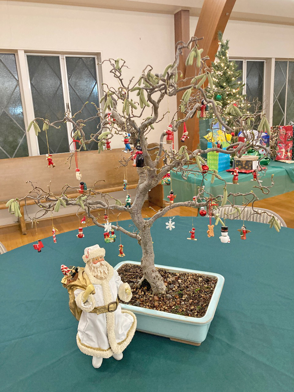 Hal Jerman’s Walking Stick bonsai with some fun holiday ornaments